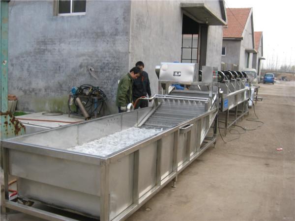 水果蔬菜清洗機(jī)