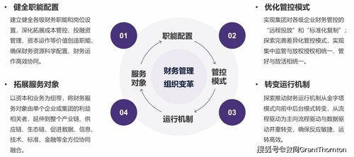 圖解《關(guān)于中央企業(yè)加快建設(shè)世界一流財(cái)務(wù)管理體系的指導(dǎo)意見》及企業(yè)管理服務(wù)支持